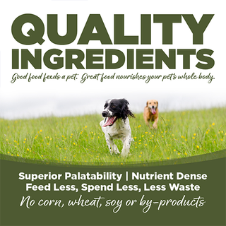 Nourriture sèche pour chiens NutriSource® Choice Grandes races, poulet et orge