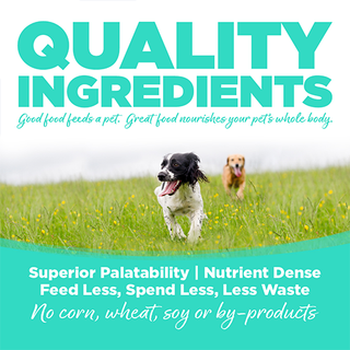 Nourriture sèche pour chiens NutriSource® Choice Performance au poulet et à l'orge