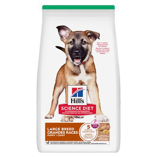 Hill's Science Diet Chiot Grande Races Agneau & Riz 30 LB