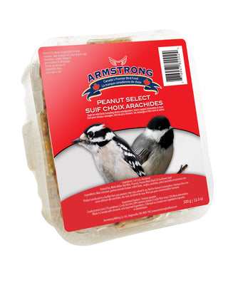 Armstrong Nourriture Oiseaux Bloc de suif Choix avec d'arachides