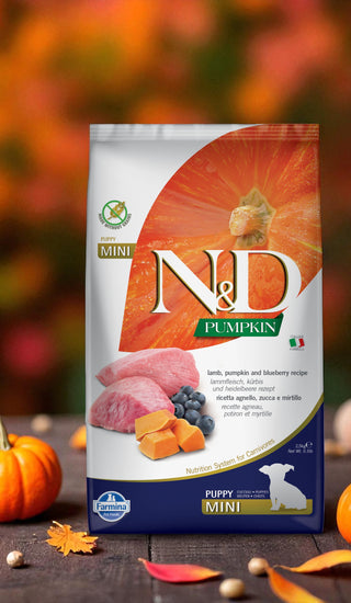 FARMINA N&D CITROUILLE SANS GRAINS CHIOT MINI AGNEAU & BLEUET