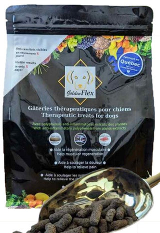 GOLDEN FLEX SUPPLÉMENT ANTI-INFLAMATOIRE ENGATERIES POUR CHIEN AU POMME 325G