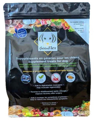 GOLDEN FLEX SUPPLÉMENT ANTI-INFLAMATOIRE ENGATERIES POUR CHIEN AU SAUMONs