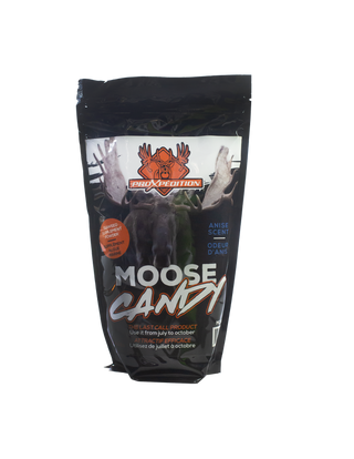 ProXpédition Moose Candy - Anis ou Érable Orignal Chasse Orignal