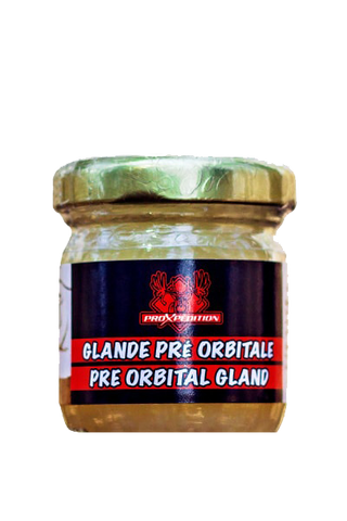 PROXPEDITION GLANDE PRÉ-ORBITALE  Chasse au Chevreuil