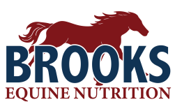 BROOKS Exhausteur pour chevaux 55 Lbs