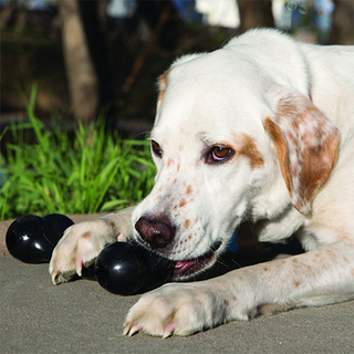 Extreme Goodie Bone™ jouet à mastiquer mâchoire puissante pour chien