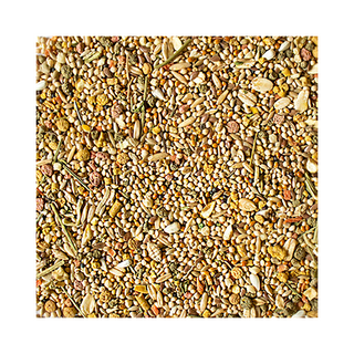 SUNSEED® SUNSATIONS™ FORMULE POUR PERRUCHES 2,25 LB