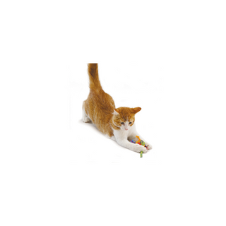 Petstages® Jouet interactif multicolore pour chat