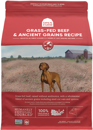 Nourriture sèche pour chiens au bœuf nourri à l'herbe et aux céréales anciennes