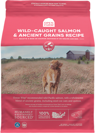 Nourriture sèche pour chiens au saumon sauvage et aux céréales anciennes