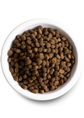 Nourriture sèche pour chiens Homestead à la dinde et aux grains anciens